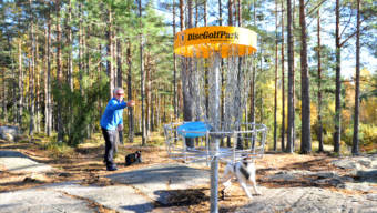 Discgolfbanan i Dalsbruk.