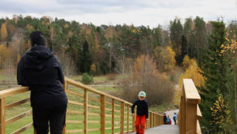 Motionstrappan i Amosparken.