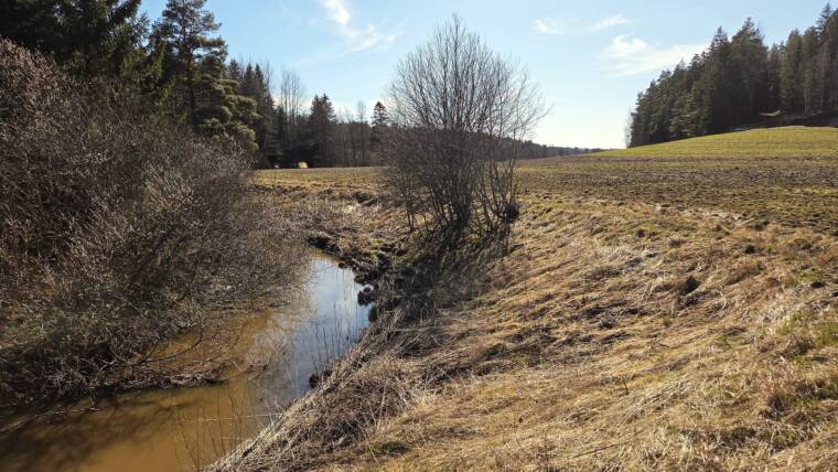 Östanåbäcken virtaa idyllisen maatalousmaiseman läpi.